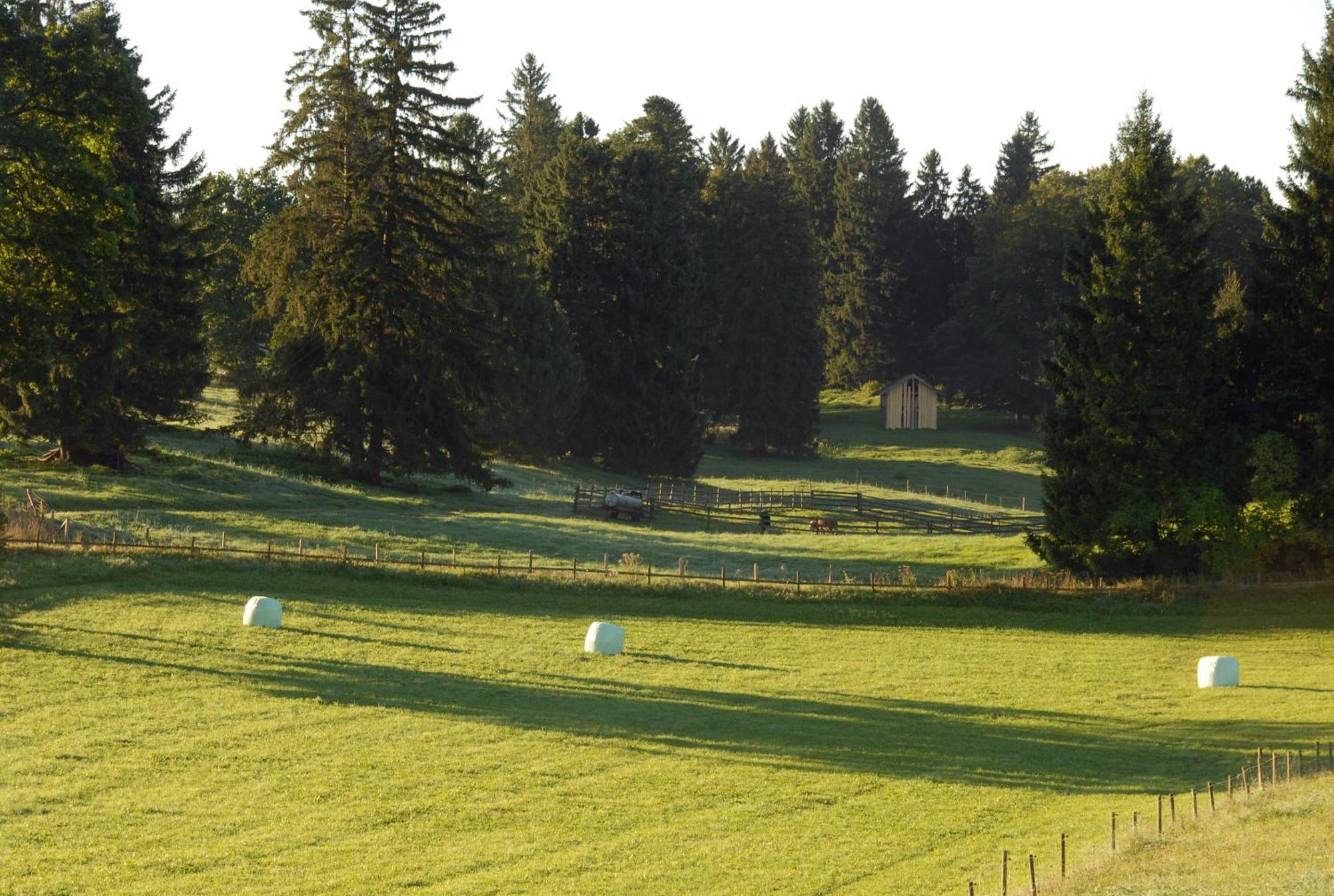 Hotel Zweilindenhof Seeshaupt Exteriér fotografie