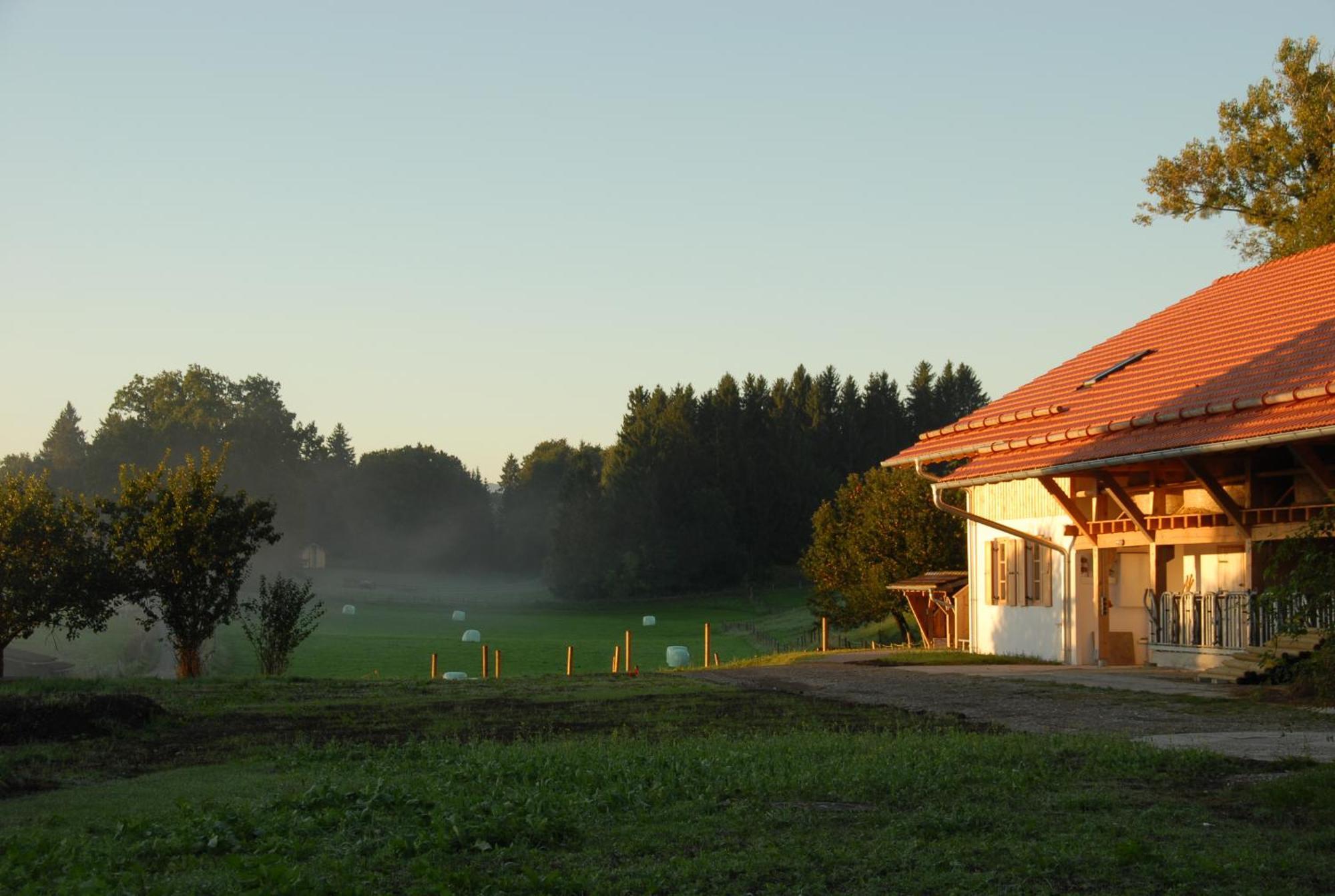 Hotel Zweilindenhof Seeshaupt Exteriér fotografie