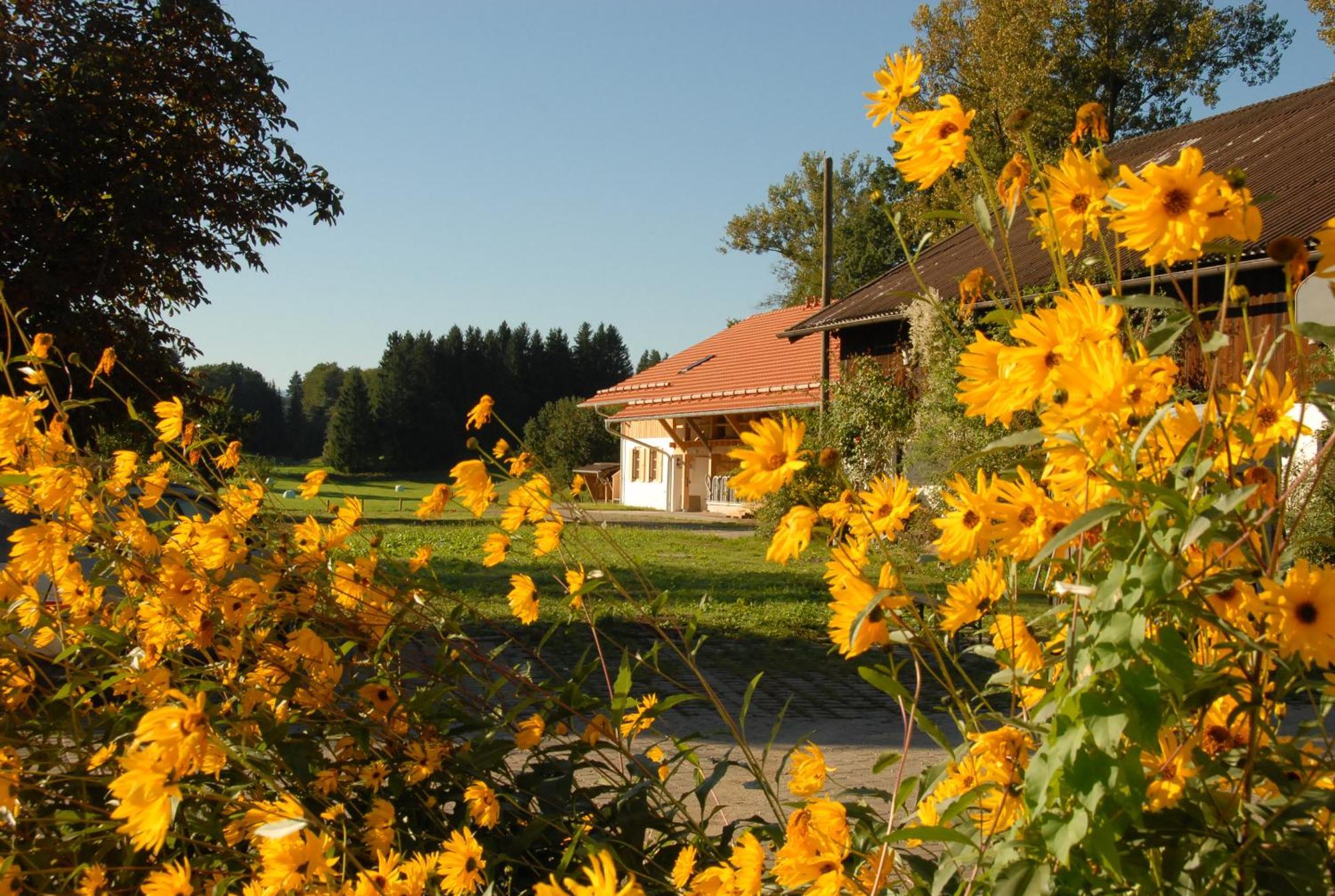 Hotel Zweilindenhof Seeshaupt Exteriér fotografie